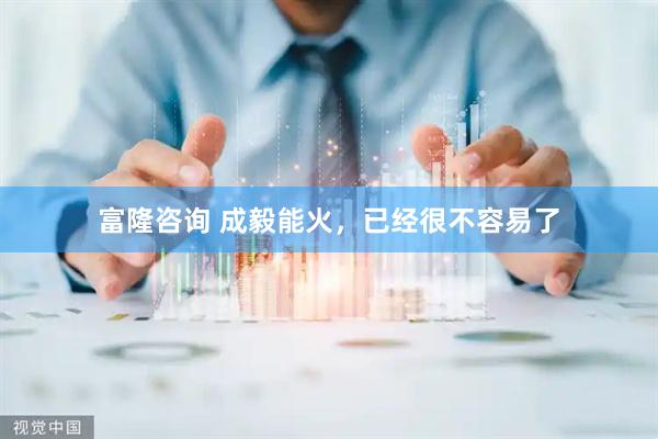 富隆咨询 成毅能火，已经很不容易了