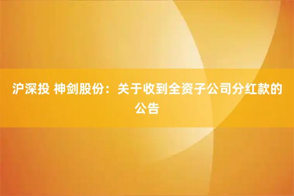 沪深投 神剑股份：关于收到全资子公司分红款的公告