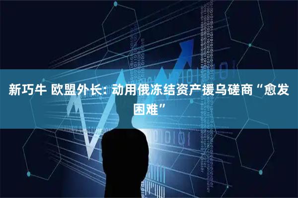 新巧牛 欧盟外长: 动用俄冻结资产援乌磋商“愈发困难”