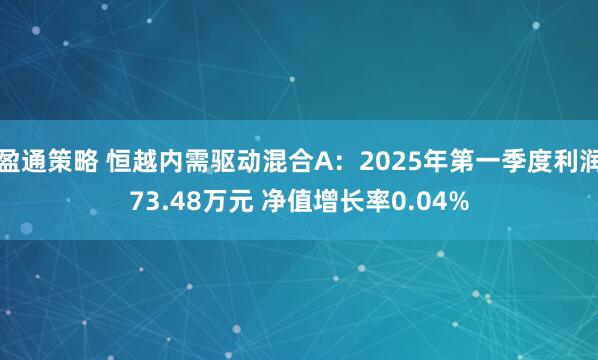 盈通策略 恒越内需驱动混合A：2025年第一季度利润73.48万元 净值增长率0.04%