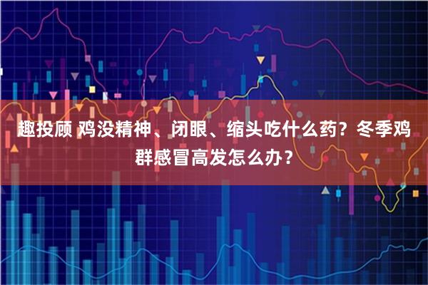 趣投顾 鸡没精神、闭眼、缩头吃什么药?冬季鸡群感冒高发怎么办?